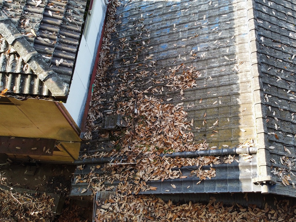 落葉が溜まった屋根