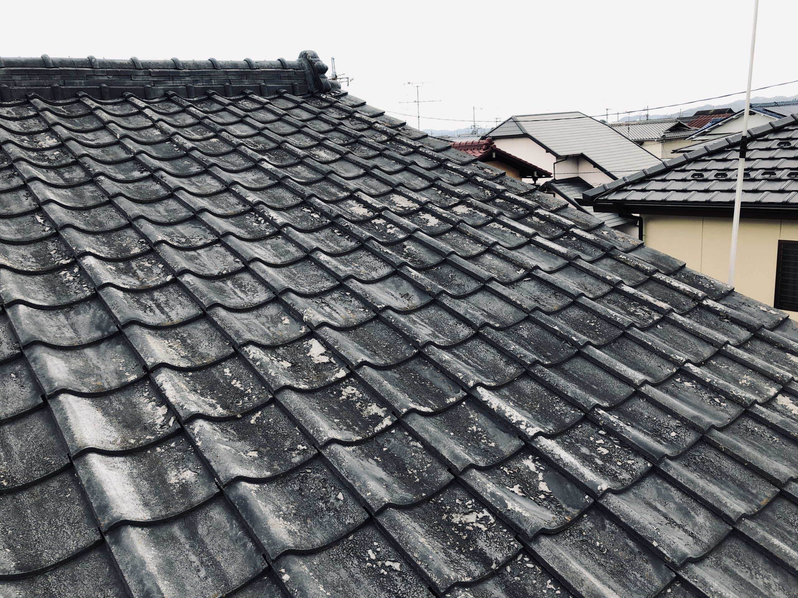 岡山市中区のW様　屋根調査